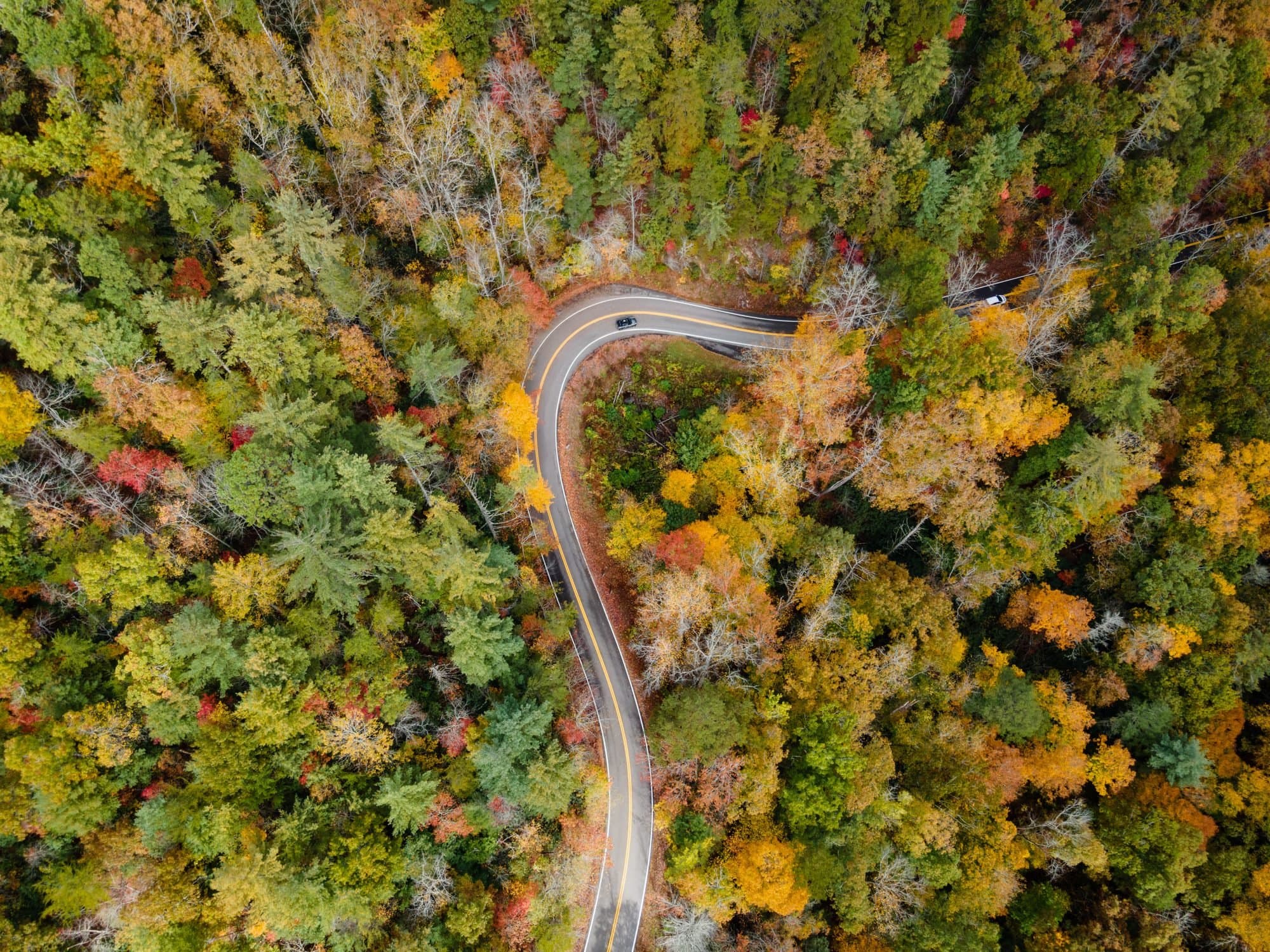Scenic road trip